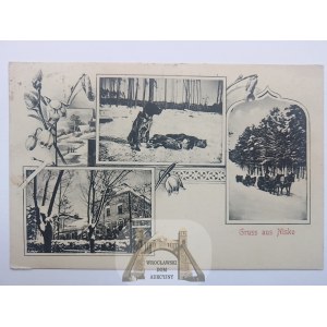 Low, palace, hunting, 1908