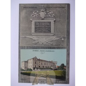 Zywiec, hrad, cca 1908