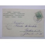 Pes, psy, dieťa za stolom, 1905