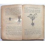 GOLIÑSKA J. Vegetables on the farm. Written by Dr. [...]. With 52 drawings. Third edition completed...