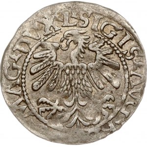 Lithuania Polgrosz 1559 Vilnius (RR)
