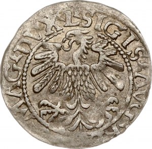 Lithuania Polgrosz 1559 Vilnius (RR)