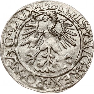Lithuania Polgrosz 1561 Vilnius