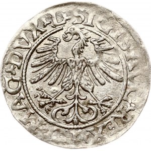 Lithuania Polgrosz 1561 Vilnius