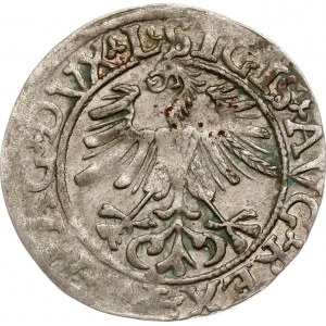 Lithuania Polgrosz 1561 Vilnius