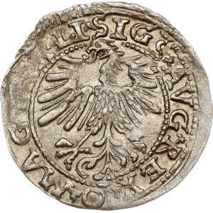 Lithuania Polgrosz 1563 Vilnius