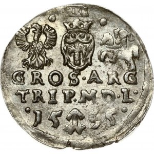 Lithuania 3 Groszy 1595 Vilnius