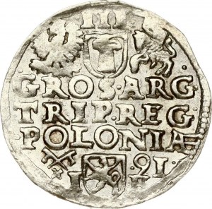 Poland Trojak 1591 Poznan - G on Portrait