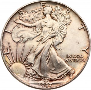 USA Dollar 1987