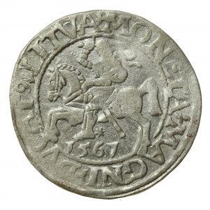 Sigismund II Augustus, Half-penny 1561, Vilnius - L/LITVA (501)