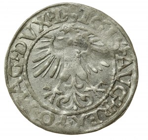 Sigismund II Augustus, Half-penny 1561, Vilnius - L/LITVA (501)