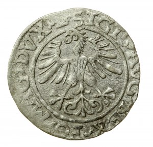 Zikmund II August, půlpenny 1561, Vilnius - L/LITV (502)