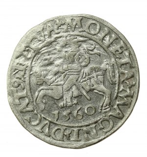 Sigismond II Auguste, demi-penny 1560, Vilnius - LI/LITVA (503)