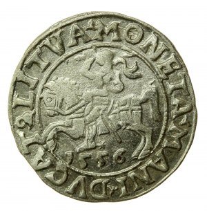 Sigismond II Auguste, Demi-penny 1556 Vilnius, LI / LITVA (504)