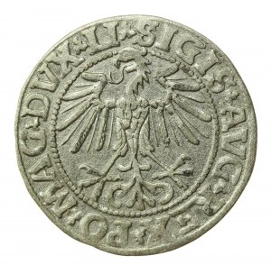 Zikmund II August, půlgroše 1549, Vilnius - LI/LITVA (506)