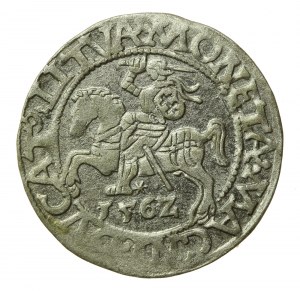 Sigismondo II Augusto, mezzo penny 1562 Vilnius, L / LITVA (508)