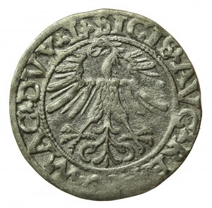 Sigismond II Auguste, Demi-penny 1562 Vilnius, L / LITVA (508)