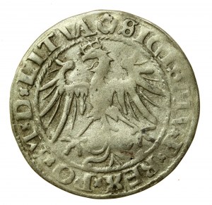 Sigismund I the Old, 1536 M penny, Vilnius (510)