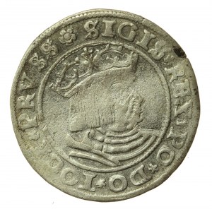 Sigismund I the Old, 1529 penny, Torun, PRVSS/PRVSS (512)