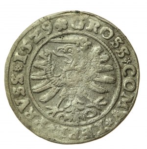 Sigismund I the Old, 1529 penny, Torun, PRVSS/PRVSS (512)