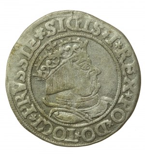 Sigismund I. der Alte, Pfennig 1534, Toruń PRUSSIE/PRUSSIE (513)