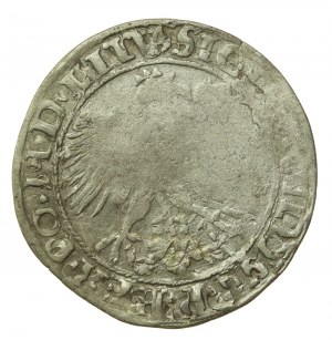 Sigismund I the Old, penny 1535, Vilnius (514)