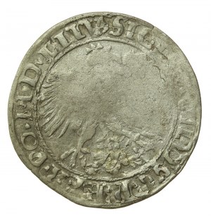 Sigismund I. der Alte, Pfennig 1535, Vilnius (514)