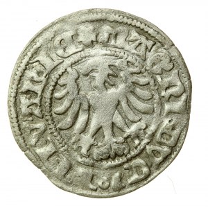 Alexander Jagiellonian, half-penny, Vilnius-Gothic (522)