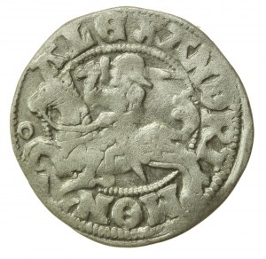 Alexandre Jagellon, demi-penny, Vilnius - Renaissance (523)