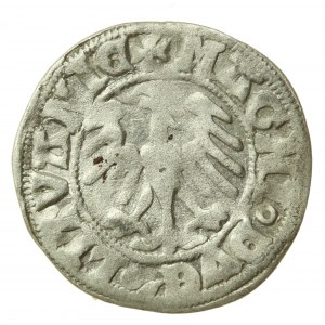 Alexander Jagiellon, halber Pfennig, Vilnius - Renaissance (523)