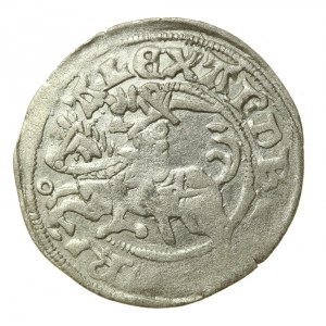 Alexander Jagiellonian, half-penny, Vilnius-Gothic (524)