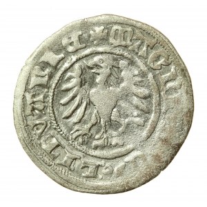 Alexander Jagiellonian, half-penny, Vilnius-Gothic (524)