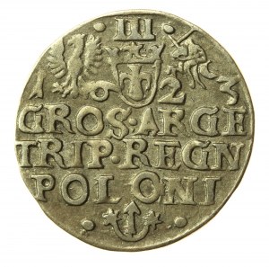 Zygmunt III Waza, Trojak 1623, Kraków. Nienotowany (534)