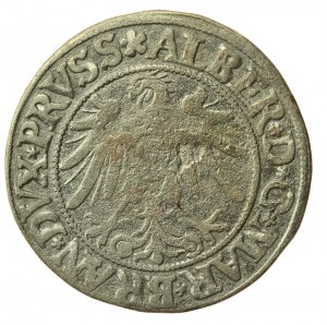 Prussia Ducale, Albrecht Hohenzollern, Penny 1534, Königsberg - PRVSS (536)