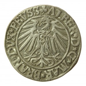 Ducal Prussia, Albrecht Hohenzollern, 1543 penny, Königsberg (538)