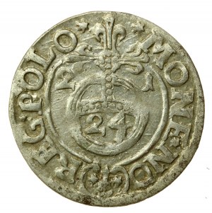 Sigismondo III Vasa, Półtorak 1621, Bydgoszcz (546)