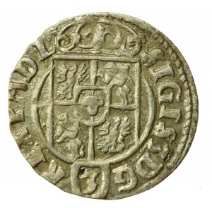 Sigismund III. Vasa, Halbspur 1623, Bromberg (Bydgoszcz). Nicht aufgelistet (551)