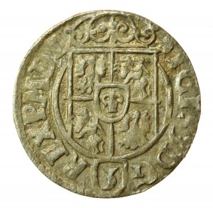 Sigismund III Vasa, Half-track 1624, Bydgoszcz (552)