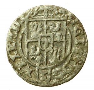 Sigismund III Vasa, Half-track 1624, Bydgoszcz (553)
