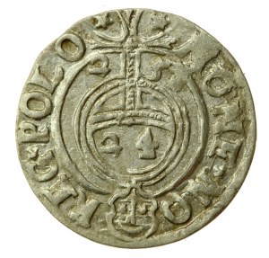Sigismund III. Vasa, Półtorak 1625, Bydgoszcz (554)