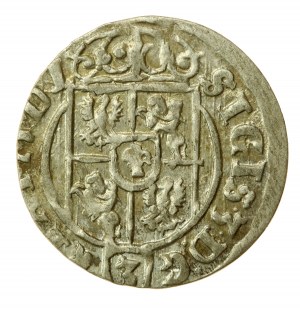 Žigmund III Vasa, Półtorak 1625, Bydgoszcz (555)