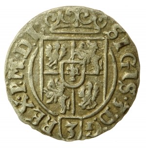 Sigismond III Vasa, Półtorak 1626, Bydgoszcz (558)