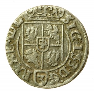 Sigismund III Vasa, Half-track 1625, Bydgoszcz (560)