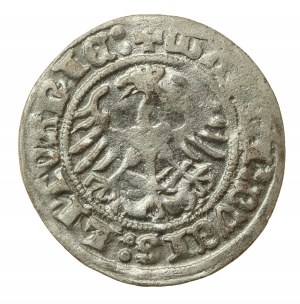 Sigismund I. der Alte, Halbpfennig 1512, Wilna (563)