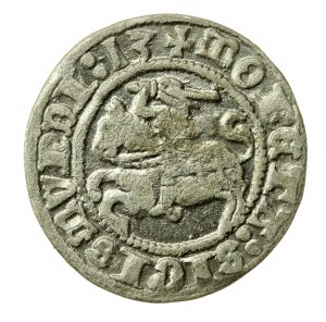 Sigismondo I il Vecchio, mezzo penny 1513, Vilnius (564)