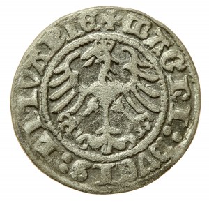 Sigismund I. der Alte, Halbpfennig 1513, Wilna (564)