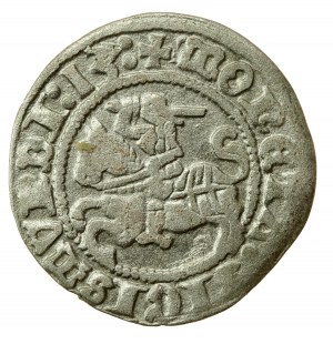 Sigismund I. der Alte, Halbpfennig 1513, Wilna (565)