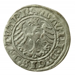 Sigismund I. der Alte, Halbpfennig 1513, Wilna (565)