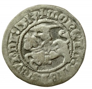 Žigmund I. Starý, polgroš 1513, Vilnius - celý dátum (566)