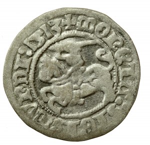 Sigismond Ier le Vieux, demi-penny 1513, Vilnius - date complète (566)